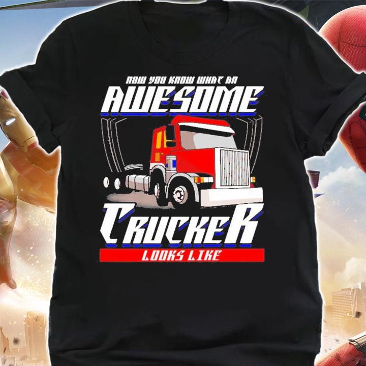 Trucker Now You Know What An Awesome Trucker Looks Like Funny Saying T-Shirt t-shirt