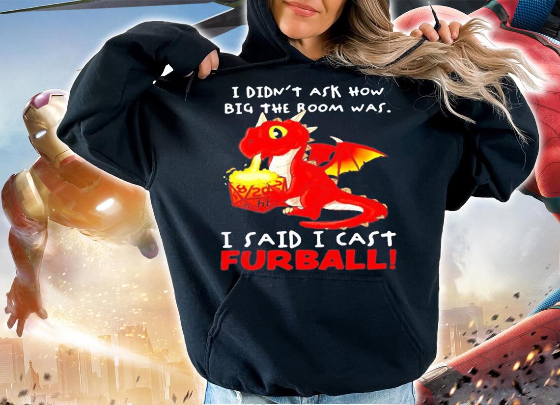 Dragon I Didnt Ask How Big The Room Was I Said I Cast Furball T-Shirt t-shirt hoodie
