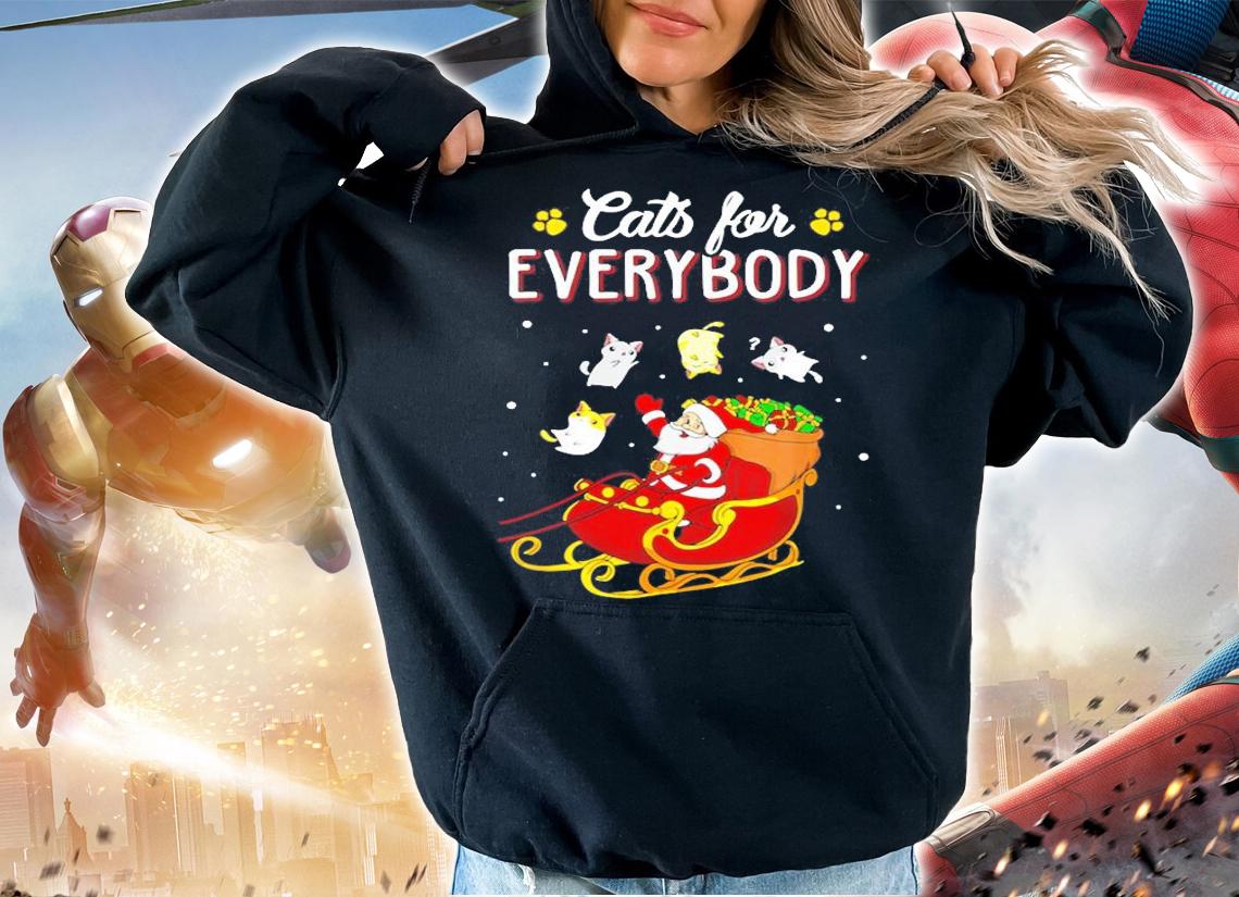 Cats For Everybody Christmas Cute Cat Lover T-Shirt hoodie