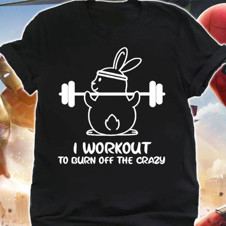 I Workout To Burn Off The Crazy Funny Fitness T-Shirt